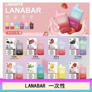 LANA BAR可充电一次性電子煙霧化5000口(3.0%)