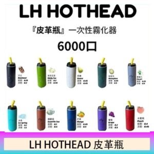 LH HOTHEAD皮革瓶電子煙可充電6000口一次性